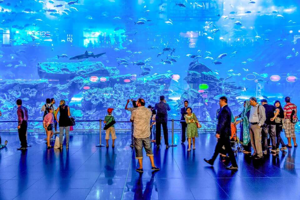 Dubai Aquarium & Underwater Zoo