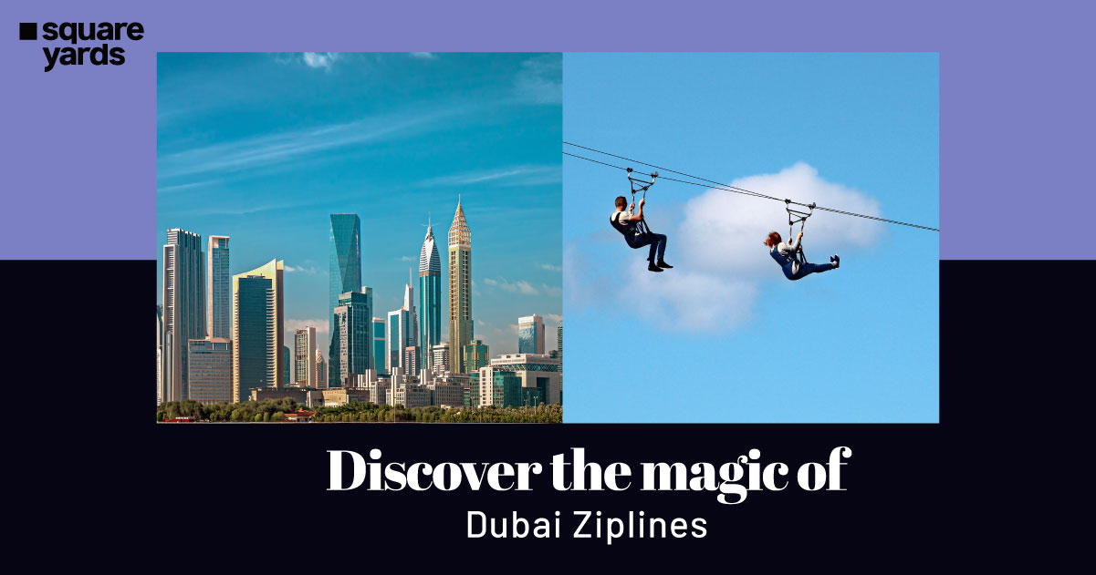 Discover the Magic of Ziplines in Dubai