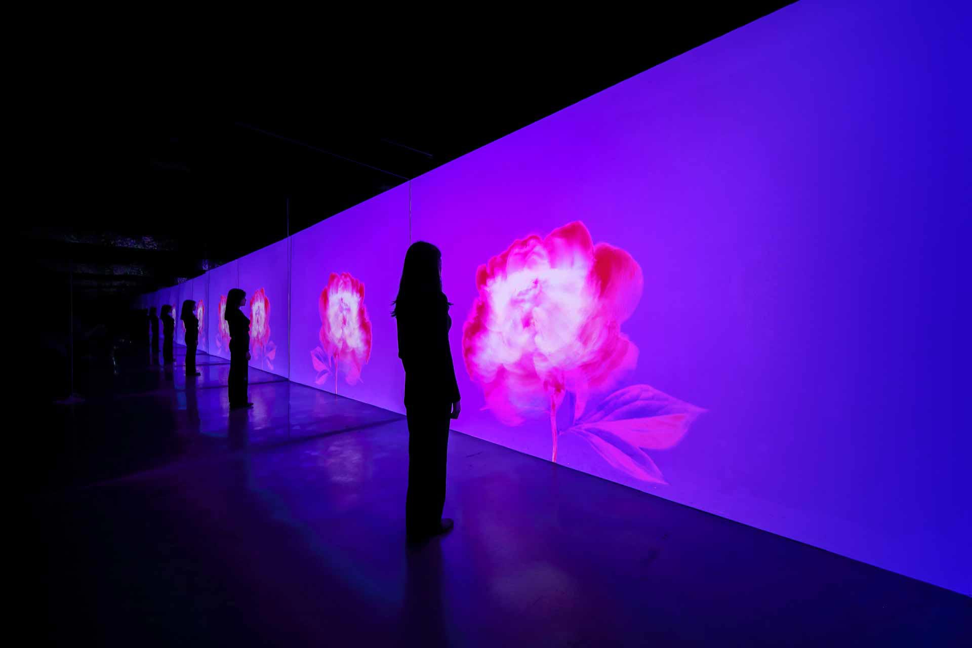 Exploring the Flower Odyssey Dubai Mall Art Gallery