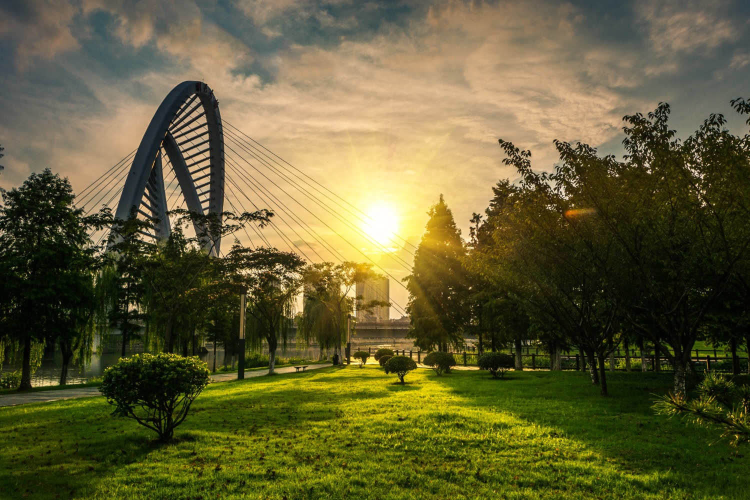 Sharjah National Park Attractions