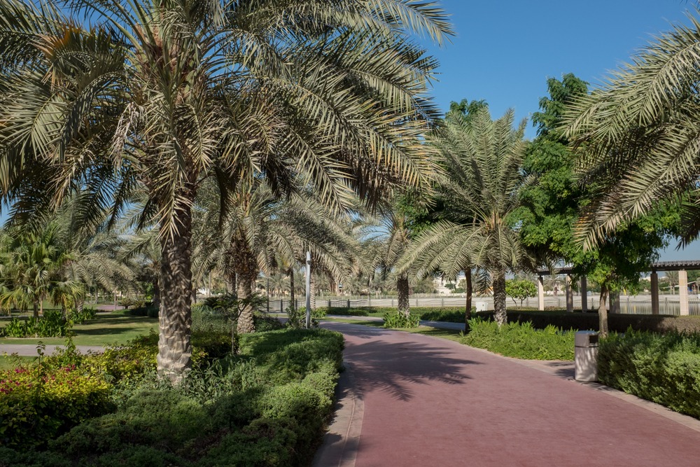 Pond Park Al Quoz Dubai