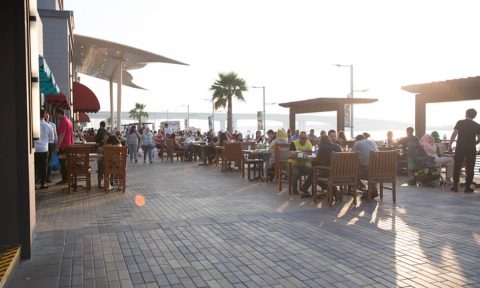 Waterfront Market Beaches
