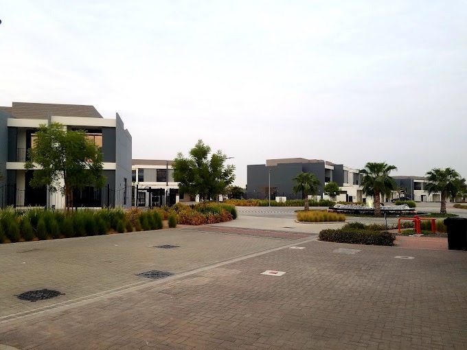 Casa Flores Area Guide