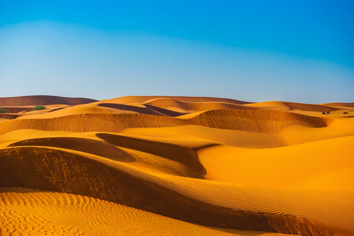 Murqquab Area Guide