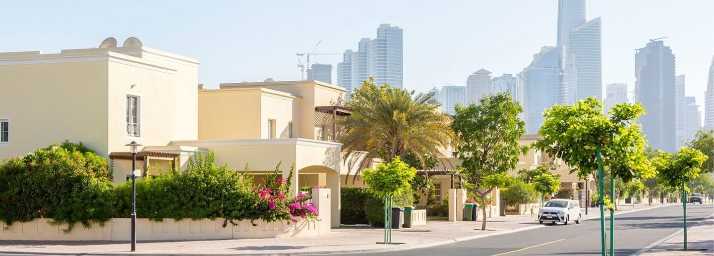 Meadows 4 Area Guide