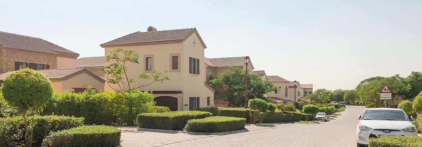 Wildflower Area Guide