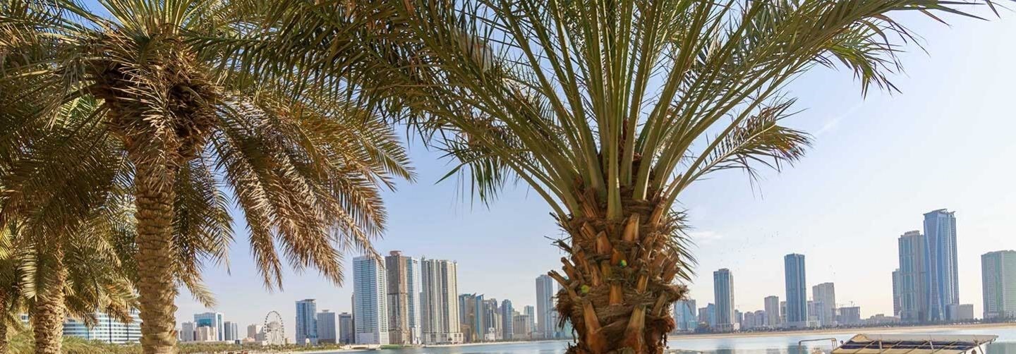 Al Zubair Area Guide