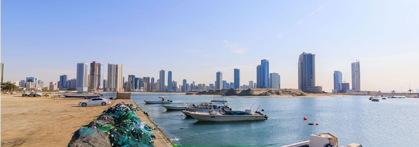 Al Hamriyah Area Guide