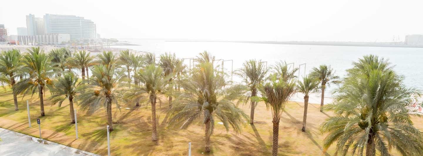Lea Yas Island Area Guide